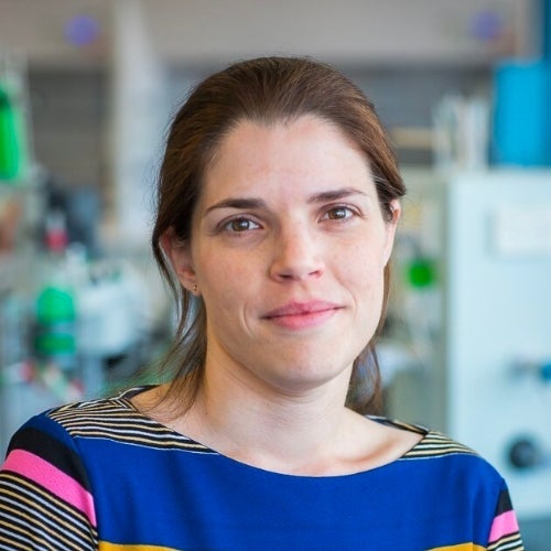 Deanna D’Alessandro